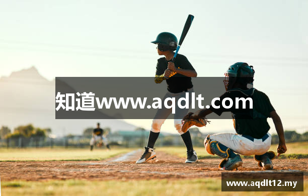 知道www.aqdlt.com